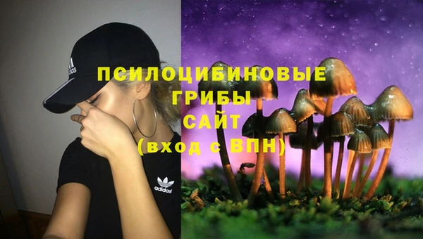 бутират Михайловск