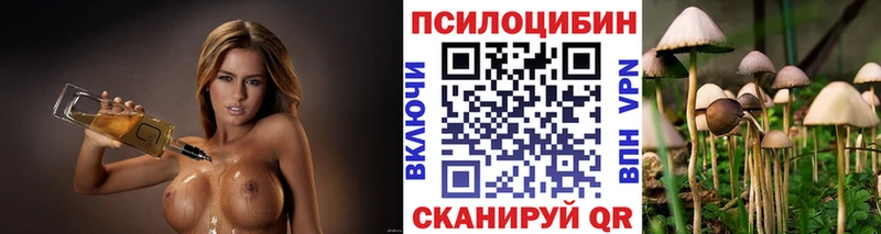 купить наркотики сайты  omg как войти  Галлюциногенные грибы прущие грибы  Энем 